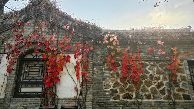 가을 구베이수전