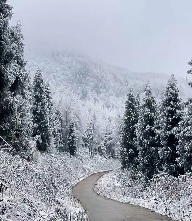 藏在德陽的寶藏秘境：神瀑溝，四季的夢幻邀約