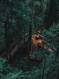 Discover the Capilano Suspension Bridge in Vancouver