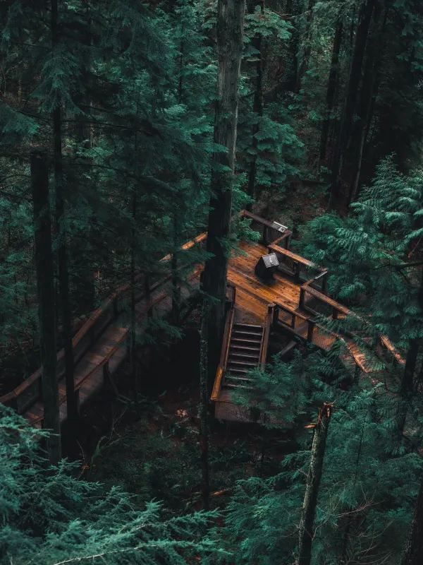 Discover the Capilano Suspension Bridge in Vancouver