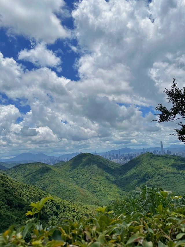 深圳塘朗山：徒步打卡，邂逅都市裏的綠野仙蹤！
