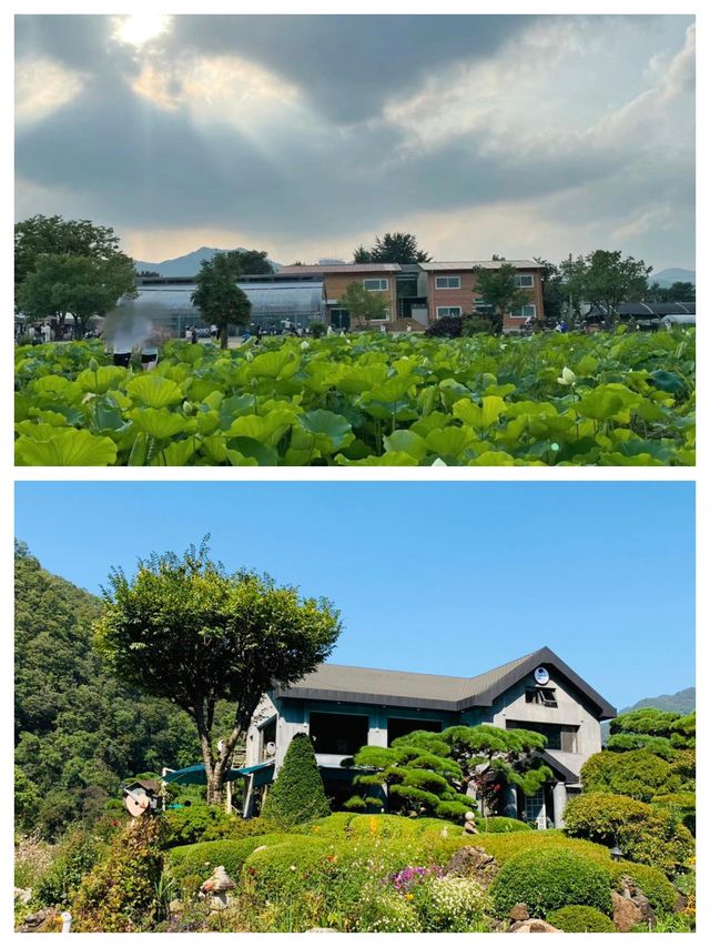 韓國楊平郡：自然與文化的完美融合