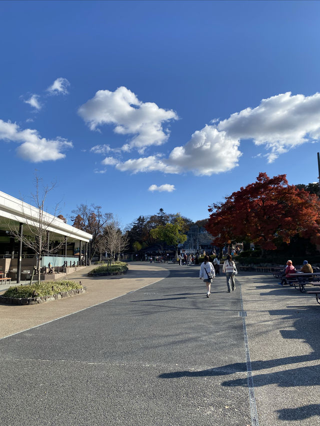 名古屋動物園的冬日暖陽