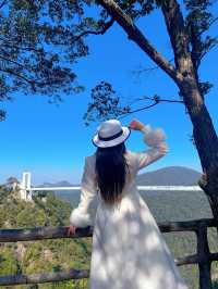 在贛州三百山盡享天然療癒之旅 