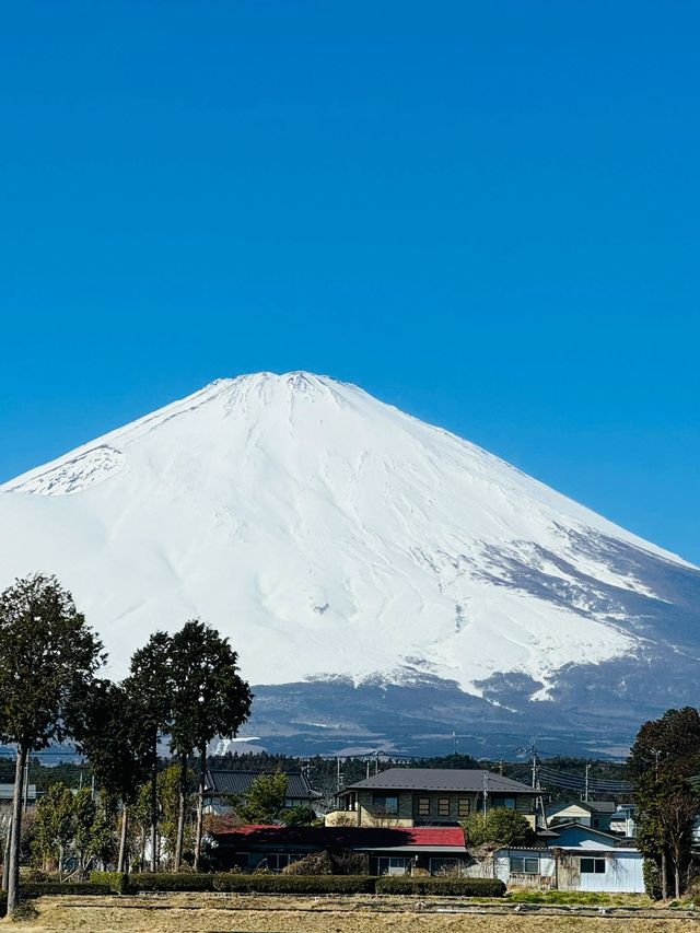 6日深度遊日本 盡享溫泉之旅