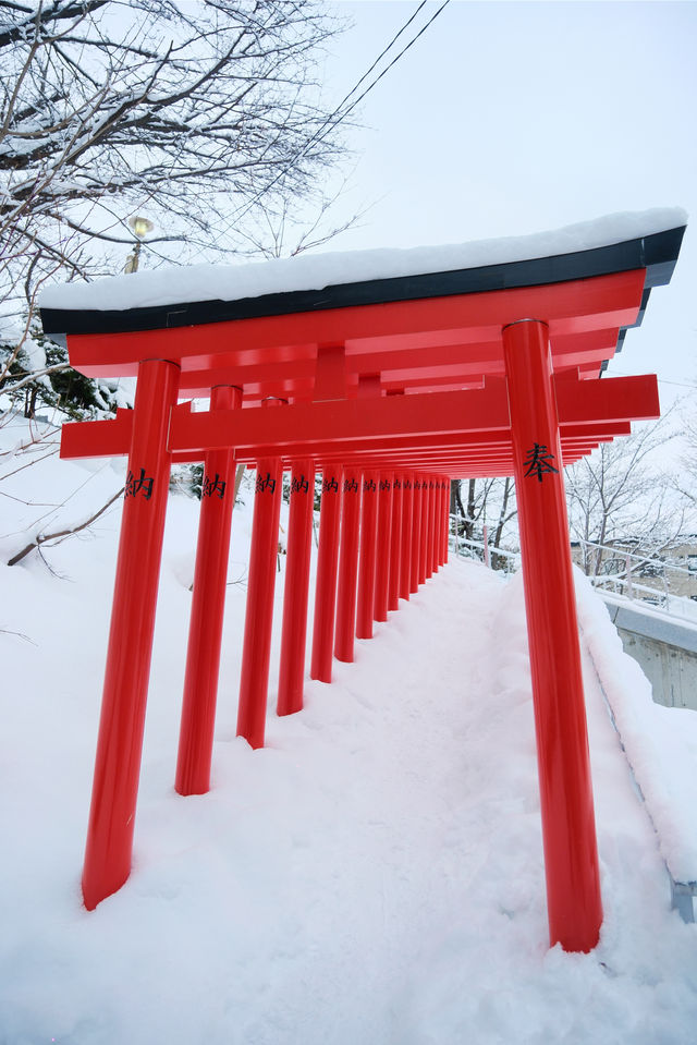 北海道小眾神社，小樽暴雪裡的紅色鳥居