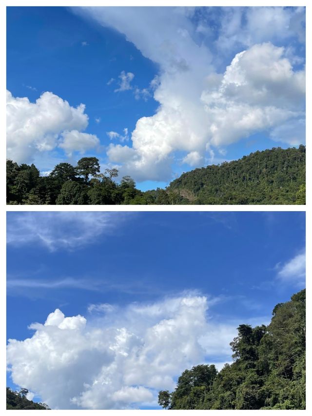 探索神秘多元的馬來西亞之旅