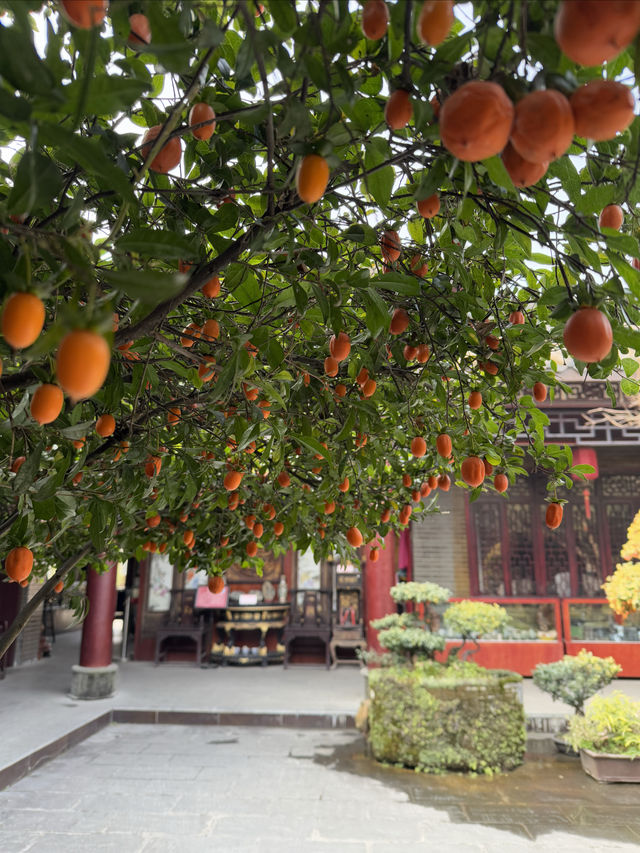 綿竹年畫村～～明清園