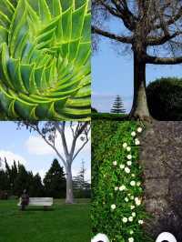 Explore the Auckland Botanic Garden This Spring