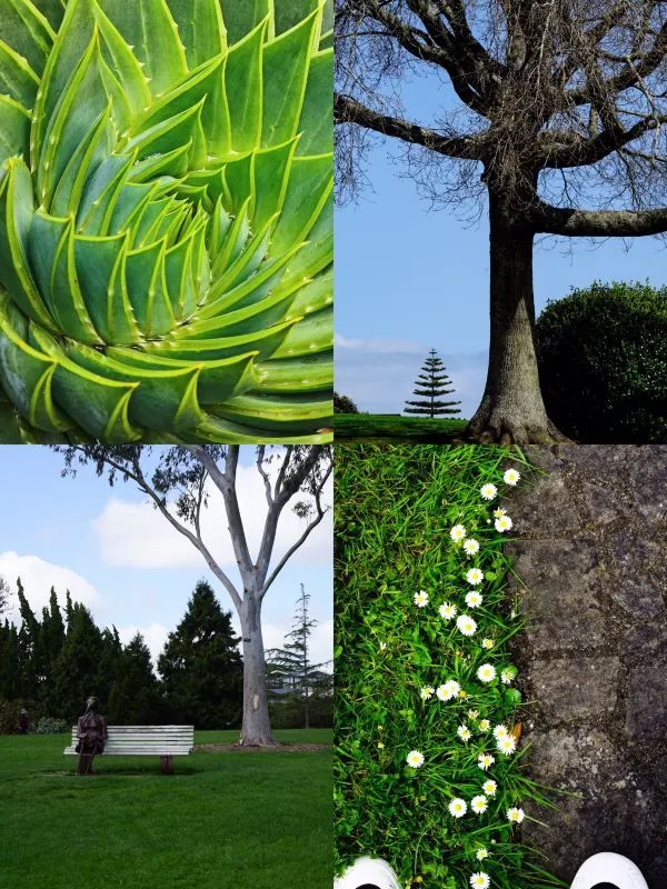 Explore the Auckland Botanic Garden This Spring