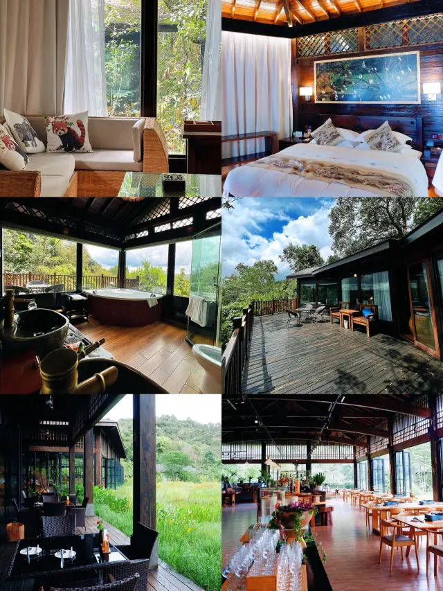 4-Day Pu'er Adventure | Must-See Detailed Guide