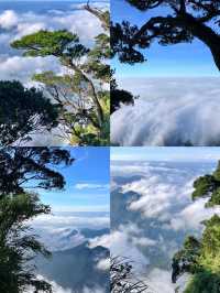雲海日出，絕美瞬間