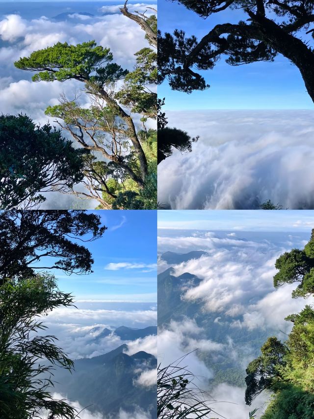 雲海日出，絕美瞬間