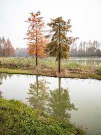 青西郊野公園