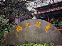 安寧曹溪寺古元梅