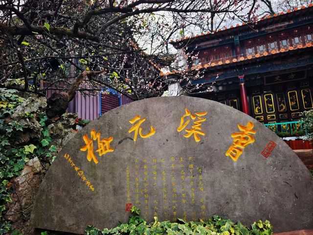 安寧曹溪寺古元梅