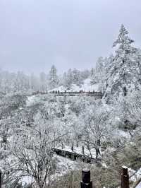 1.15實拍！！！建議都來瓦屋山玩雪！！！