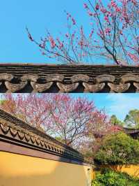杭州超小眾寺廟，西湖邊的慧因高麗寺