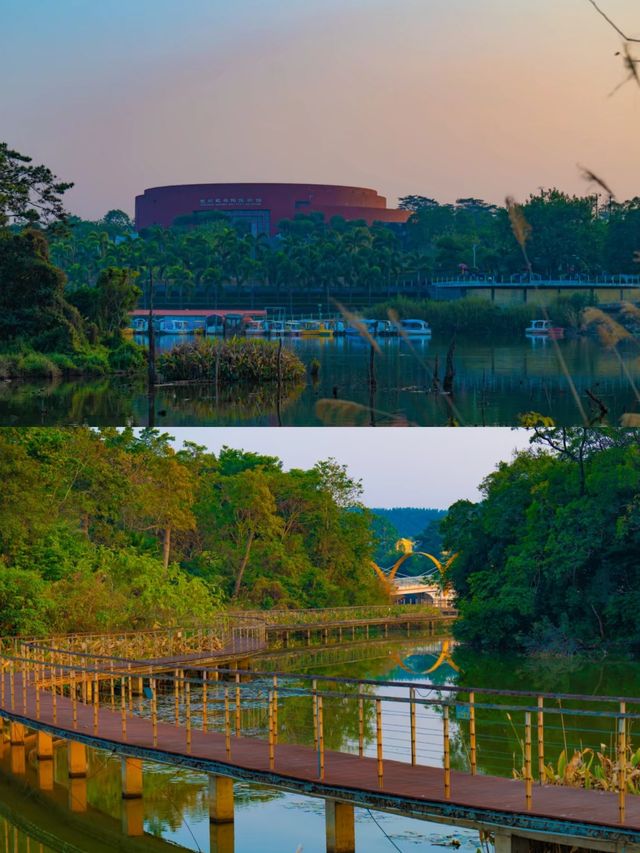 探秘廣西欽州園博園，感受園林之美