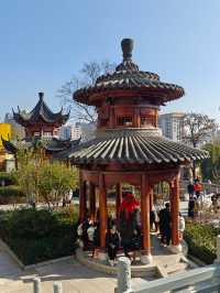 武漢旅遊 | 來寶通禪寺拜拜可以順道吸個貓