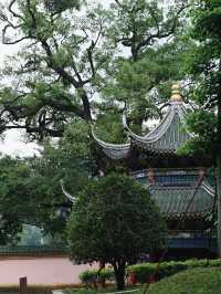 韶關3日深度遊 玩轉全城不踩雷