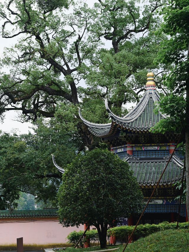 韶關3日深度遊 玩轉全城不踩雷