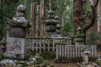 高野山一日遊 | 解鎖小眾寶藏地。