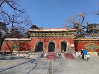 歷史與自然於此完美交融~~東陵公園