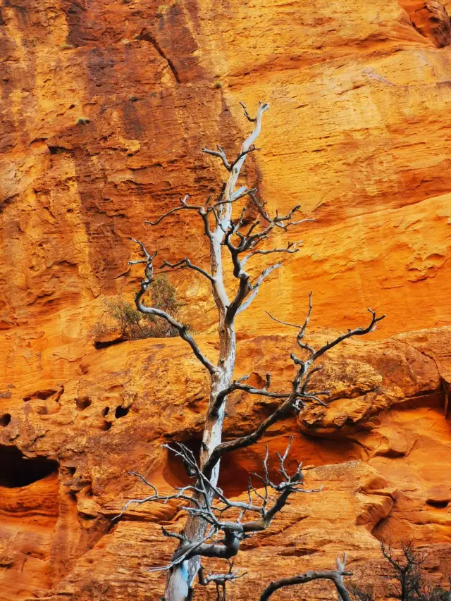 4-Day USA Itinerary: No Check-out Required