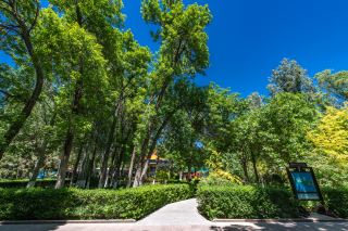 How to spend 3 days and 2 nights in Urumqi? You can have a great time without driving!