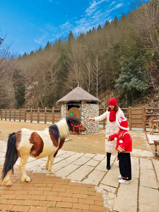 巨新！湖北周邊！春日遛娃自由度滿分～