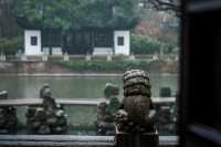 【上海青浦曲水園】雨中江南,絕美打卡地!