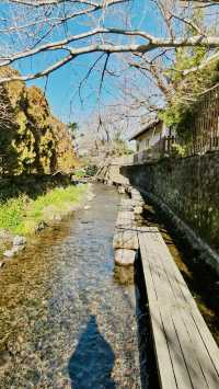 日本三島市旅行指南：邂逅伊豆半島的絕美風光