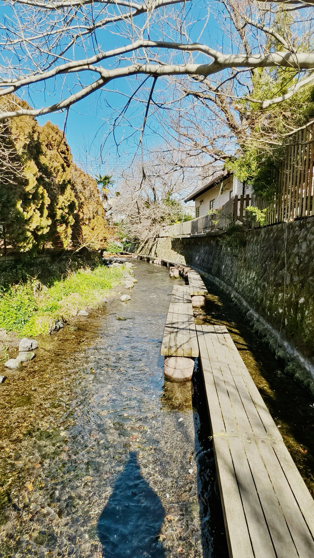 日本三島市旅行指南：邂逅伊豆半島的絕美風光