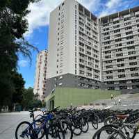 🏫深圳大學，我的夢中情校🥰