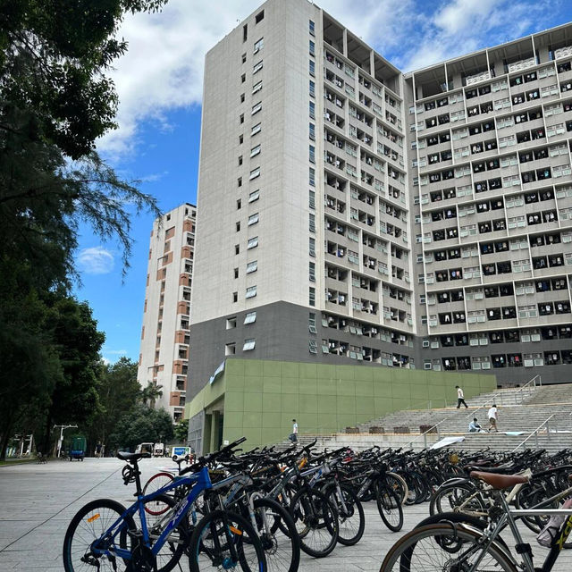🏫深圳大學，我的夢中情校🥰