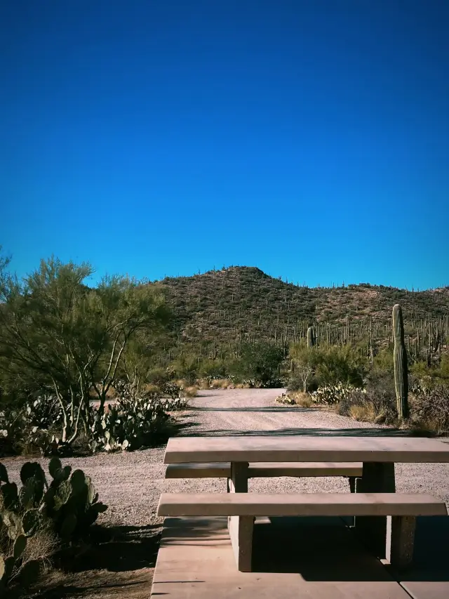 米国16日旅行プラン 超詳細攻略で全米を制覇