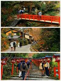 日本之旅·京都三千院、寶泉院、貴船…純玩一日遊攻略
