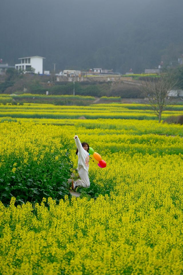 貴州萬峰林千畝油菜花