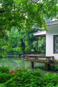 不輸蘇杭，陰雨天的廣州蘭圃美如畫～