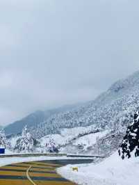 暢遊浙西「小雪山」——太子尖雪景