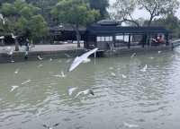 無錫旅遊攻略