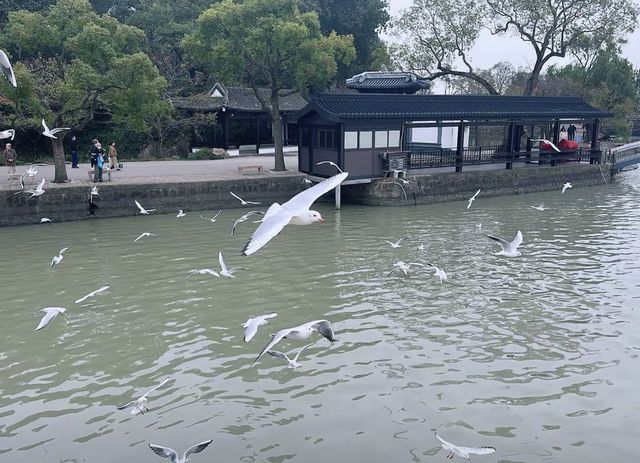 無錫旅遊攻略