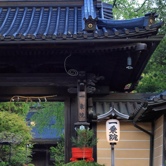 比起京都，我更愛古樸寧靜的高野山🌄