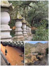 台州之旅已結束，分享一些真實感受，跟著音樂去旅行