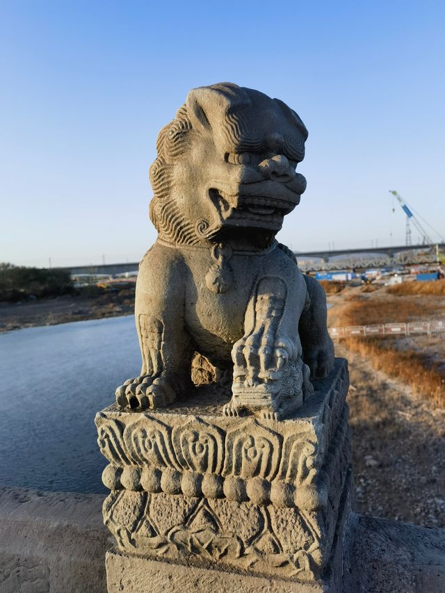 盧溝橋上501隻石獅的秘密，你知道幾多個？