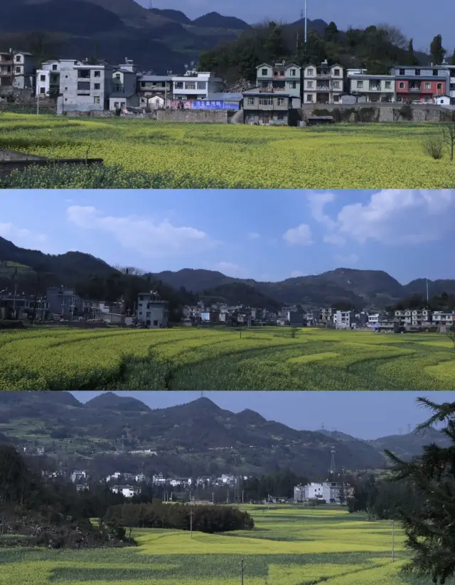 Xiazhai Village in Luoping: A Journey Through Rapeseed Flower Fields
