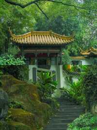 陰雨天的廣州蘭圃真的是人間理想！