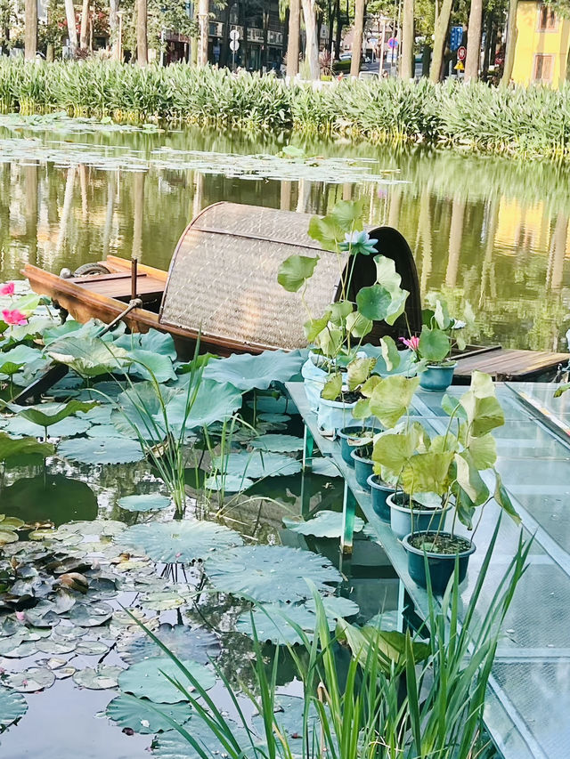 Kunming beauty Green Lake park 