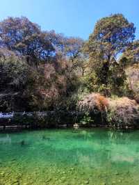 沉醉喺麗江嘅春天，感受萬物復甦嘅驚喜